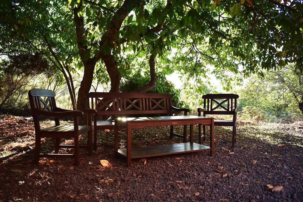 Casa rural Finca Don Leandro Hotel El Rosario España